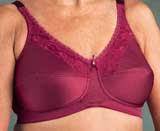 Mastectomy Bra, Breast Form, amd other Mastectomy Product Images